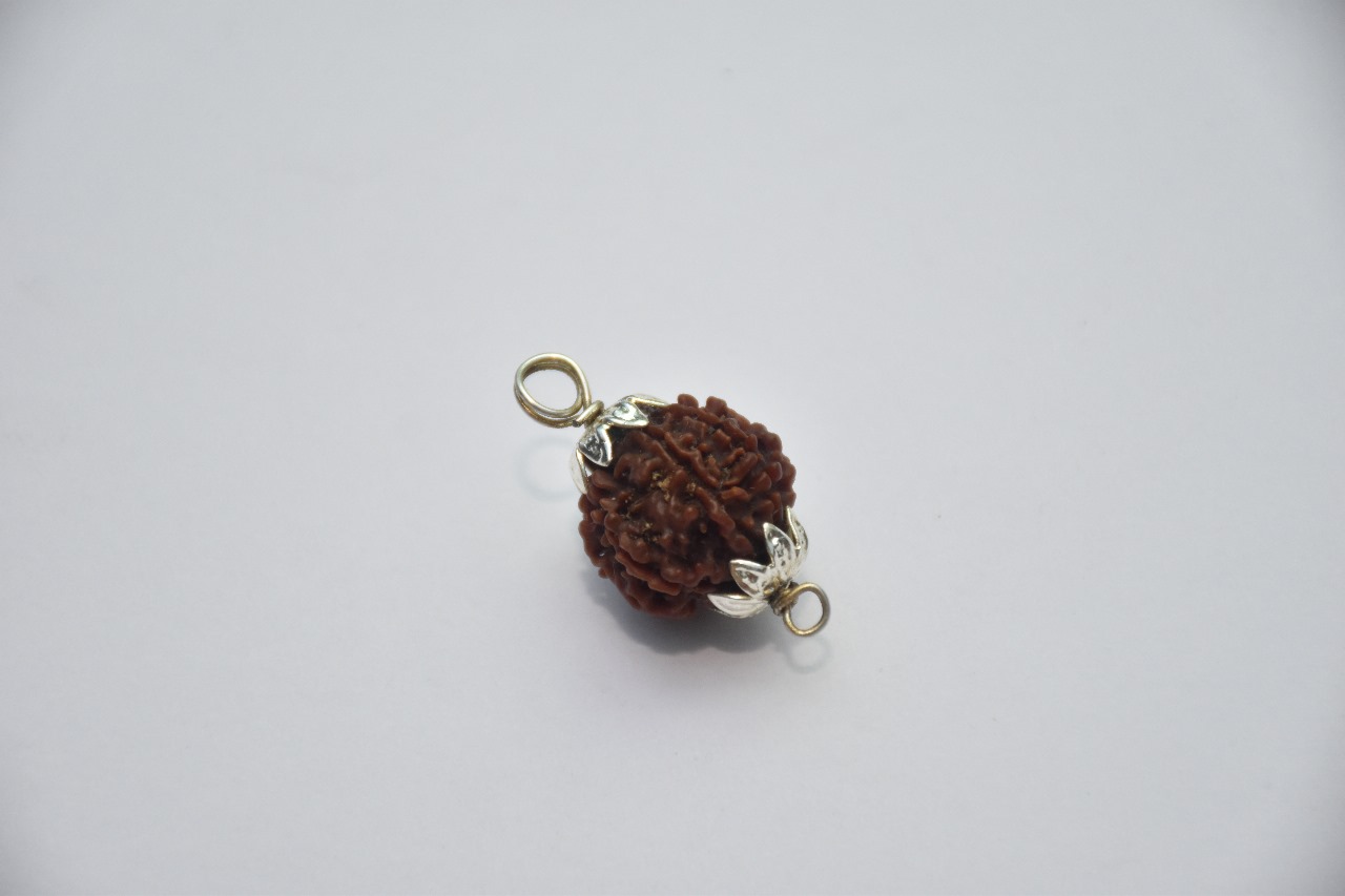7 Mukhi Rudraksha